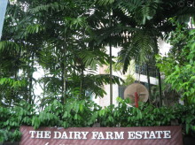 The Dairy Farm #1113172